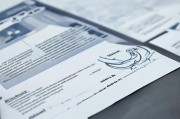 项目补贴申请报告，撰写要点、策略解析与成功案例