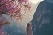 山桂怎么领取？从选择到保存，你必须知道的仪式