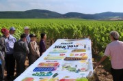 宣城葡萄种植户注意，2024年葡萄补贴申请指南来了！