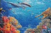 海洋伙伴拼图，开启海洋探索之旅！