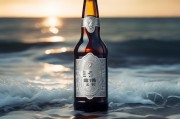 从海天同色看崂山啤酒银条，如何在啤酒市场上买到原版啤酒银条