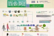 北京老年患病补贴申请全攻略，条件、流程、材料及注意事项