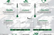 入伍补贴申请全攻略，从条件到流程，一文读懂