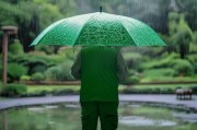 反恐雨伞，苏州安全的绿色象征