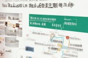 河北职业技能补贴申请指南，政策解读、流程详解与注意事项