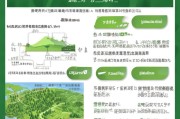 云浮市林下经济补贴申请指南，政策解读、流程详解与实操建议