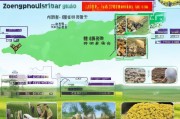 郑州家庭农场补贴申请指南，2024年最新政策、条件流程与实操案例