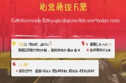 河北车牌申请全流程指南，轻松上牌，安心出行