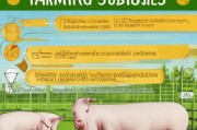 怎样申请养猪补贴，全面指南与实用攻略