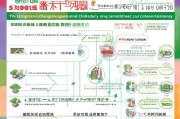 深圳少儿成长补贴申请全攻略，条件、流程、注意事项详解