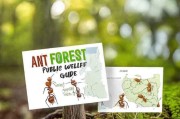 蚂蚁森林公益领取指南，为公益贡献力量的你