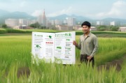 临安粮食种植补贴申请指南，政策解读、流程详解与实用贴士