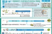 淄博社区补贴申请全攻略，政策解读、流程指南与注意事项