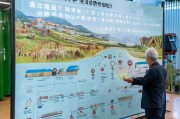 宝鸡市耕地惠农补贴申请指南，政策解读与流程详解