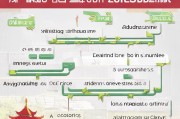 新疆技能补贴申请全流程指南，从条件到领取一文读懂