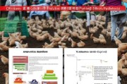 养鸡补贴申请全攻略，从政策解读到实操流程，助你养殖增收