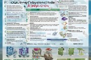 杭州职称补贴申请全攻略，政策解读、流程指南与注意事项