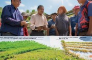 襄阳农资补贴申请指南，政策红利直达田间，助力农户春耕生产