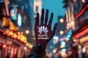 华为徽章，传承与创新，Find Your Path