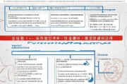 广东高龄补贴申请全指南，条件、材料、流程及注意事项详解