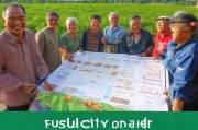 扶绥市坚果种植补贴申请指南，政策红利助农增收