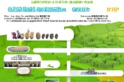 县级农业保护补贴申请指南，政策解读、流程与实操要点