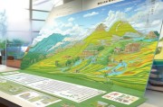 临川早稻补贴申请指南，政策解读、流程详解与注意事项