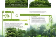 林业补贴政策解读与申请全攻略，从政策到实操，助力林业增效与生态保护