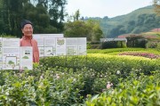 茶花基地补贴申请全攻略，政策解读、条件准备与实操指南