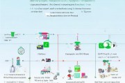 微信服务号申请全攻略，从准备到成功运营的每一步