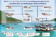 福建渔业渔船补贴申请全指南，政策解读、流程详解与注意事项