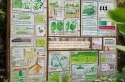 西安户外种植补贴申请指南，政策解读与实操流程