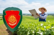 大豆粮种补贴申请，政策红利直达田间，筑牢粮食安全根基