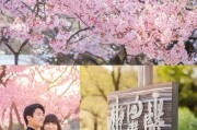 海棠暖心领取领证指南