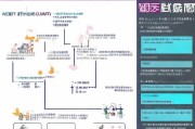 温州停业补贴申请全攻略，条件、流程、材料及注意事项