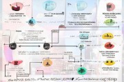结婚补贴申请全攻略，政策解读、流程指南与注意事项