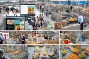 食品工厂获客怎么运营？这5个实战策略让你业绩翻倍！