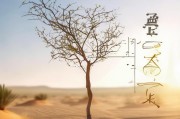 沙柳助力成长，如何顺利领取