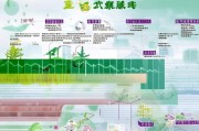 创梦东莞补贴申请全流程指南，从政策解读到资金到账