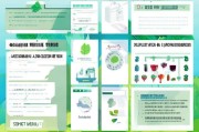 山东青菜补贴申请指南，政策解读、流程详解与注意事项