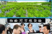 苗木行业获客赚钱的五大策略，让你的生意从0到100万！