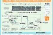 淄博亲情补贴申请指南，详细地址、流程及注意事项