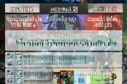 全面解析，申请A2驾照的详细流程与注意事项