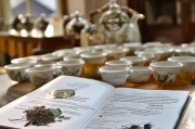 大吉岭茶小样领取方式全解析