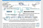 简阳就业补贴申请全攻略，条件、流程、材料一文读懂