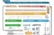 全面解析，申请执照的详细流程与注意事项