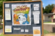 猫咪丢了别慌张，找猫团队如何精准获客？