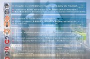 深圳市残疾人补贴申请全攻略，政策解读、申请流程与注意事项