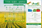 济宁种粮补贴申请时间全攻略，政策解读、流程节点与注意事项