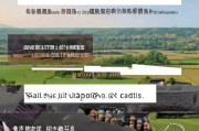 农村煤炭补贴申请全攻略，条件、流程与注意事项